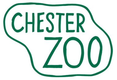 Year 4 - Chester Zoo - 2023