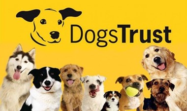 Year 3 - Dog's Trust Workshop - 2023